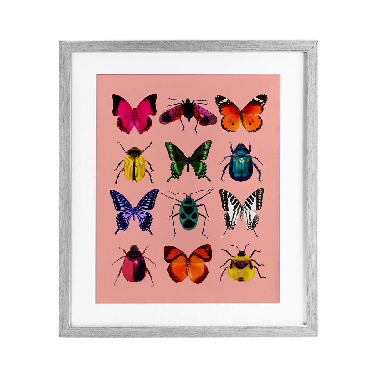 Stupell Industries Colorful Bug Species on Pink Framed Print Under Glass, design by LISH Creative